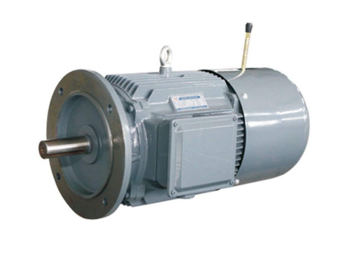 YE4EJ 系列制動(dòng)電動(dòng)機(jī)